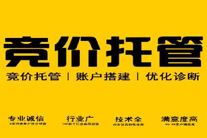 揭秘成功之道：竞价推广公司经典案例分享